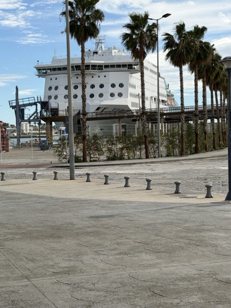 Wide flat promenade along the port of Malaga, Spain lined with palm trees and a large cruise ship docked in the background — the waterfront is wheelchair accessible and easy to navigate