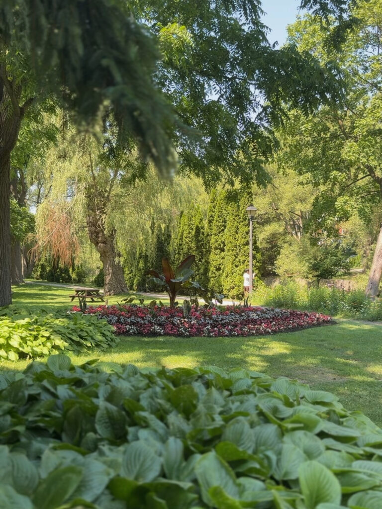  Lush garden pathways with hostas, willow trees, and flower beds along the accessible riverside walkway near Shakespearean Gardens on the Avon River in Stratford, Ontario

