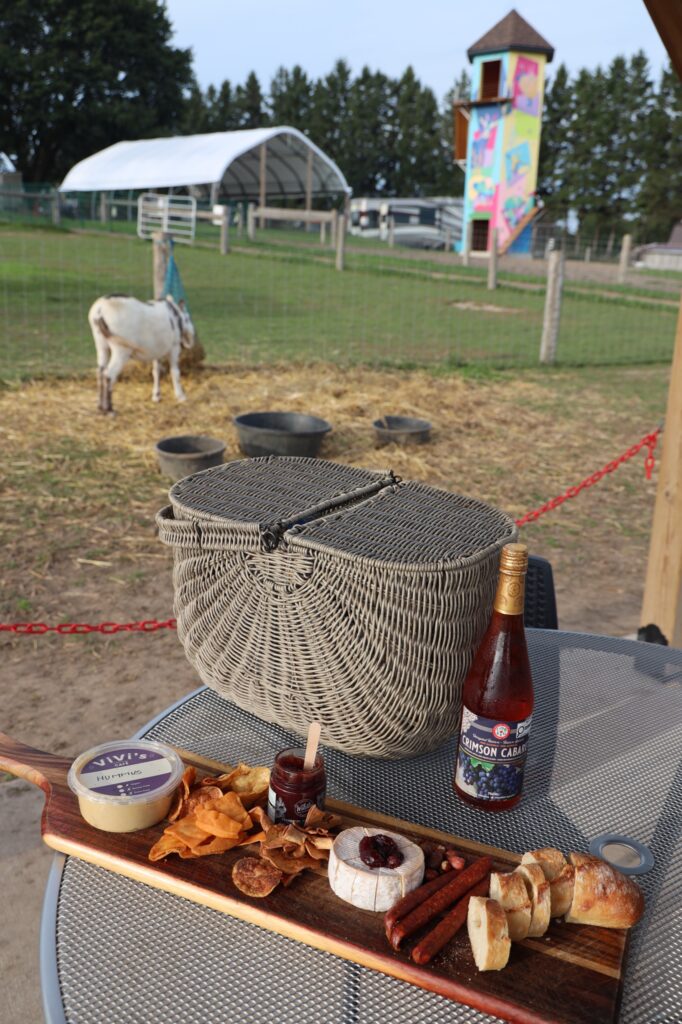 Sunset picnic spread of local cheese, bread, sausage and chips with a wicker basket and bottle of wine beside the donkey paddock at Udderly Ridiculous Farm Life in Oxford County, Ontario