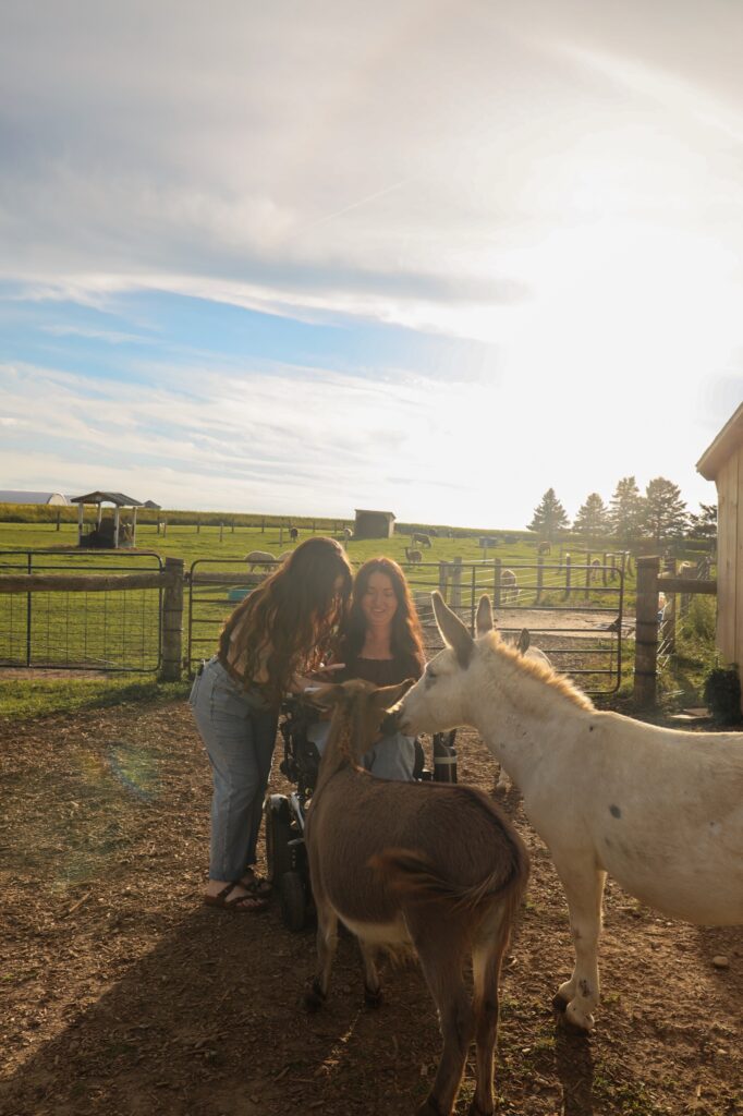 Tori Hunter, a wheelchair user and disabled travel blogger, and a friend greeting two miniature donkeys on the grass and wood-chip ground of the paddock at Udderly Ridiculous Farm Life in Oxford County, Ontario